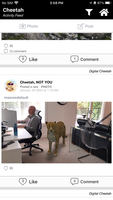 Cheetah screenshot 4