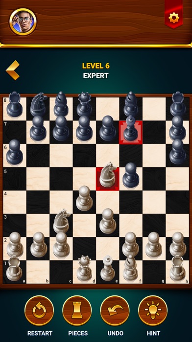 Chess - Offline Board Game screenshot 4