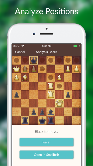 Chess Tactics and Lessons screenshot 1