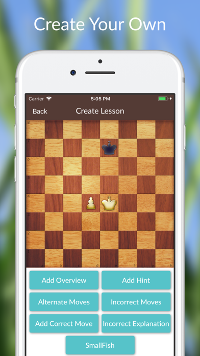 Chess Tactics and Lessons screenshot 3