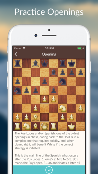 Chess Tactics and Lessons screenshot 2