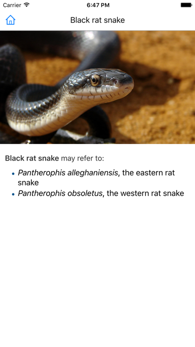 CHI Encyclopedia of Snakes screenshot 2