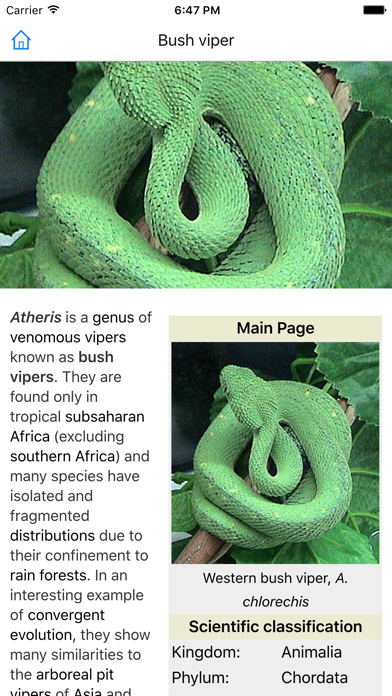 CHI Encyclopedia of Snakes screenshot 1