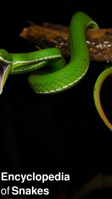 CHI Encyclopedia of Snakes screenshot 5