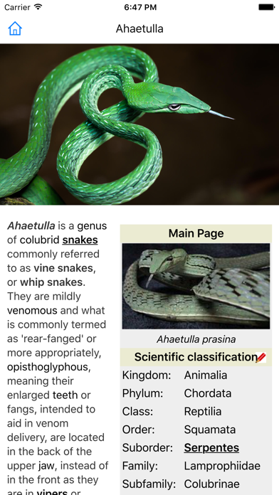 CHI Encyclopedia of Snakes screenshot 4