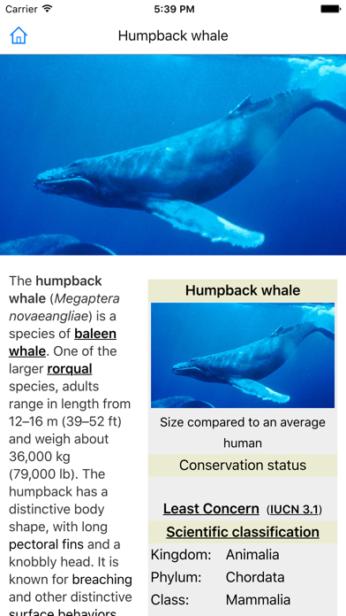 CHI Encyclopedia of Whales screenshot 3