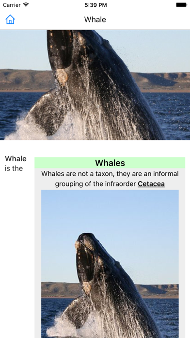 CHI Encyclopedia of Whales screenshot 4