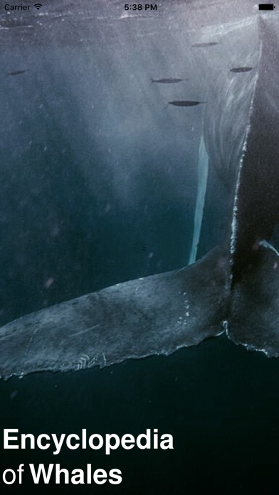 CHI Encyclopedia of Whales screenshot 5
