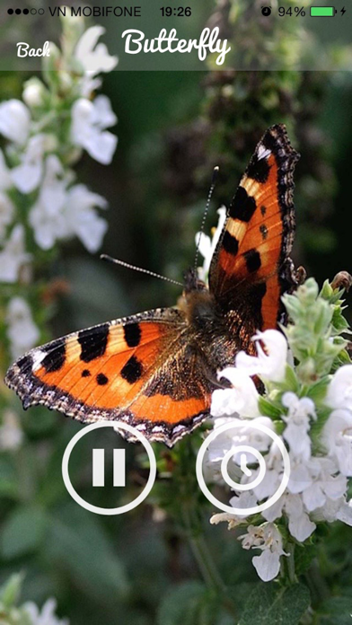 Chimes and Bells Sounds - Most Amazing Sounds screenshot 2