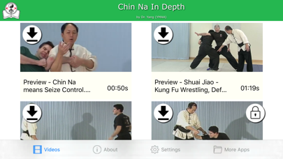 Chin Na In Depth screenshot 2