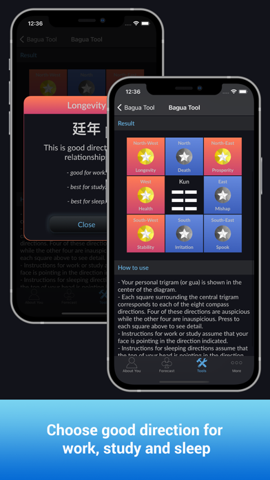 CHoroscopes Chinese Horoscopes screenshot 2