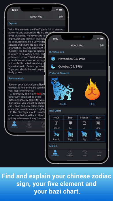 CHoroscopes Chinese Horoscopes screenshot 5