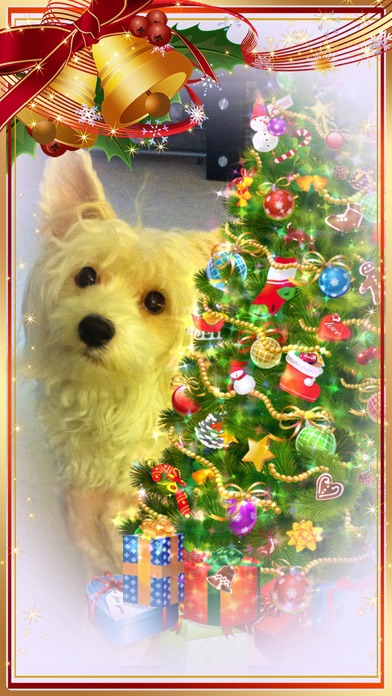 Christmas Tree ™ screenshot 3