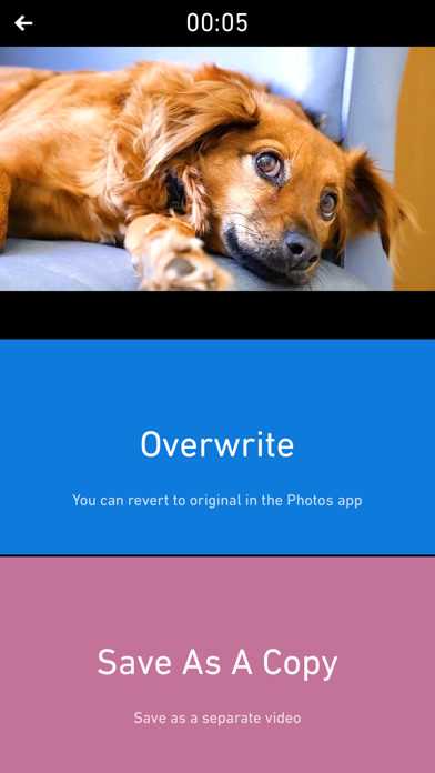 Chromic: Video Filters, Editor screenshot 1
