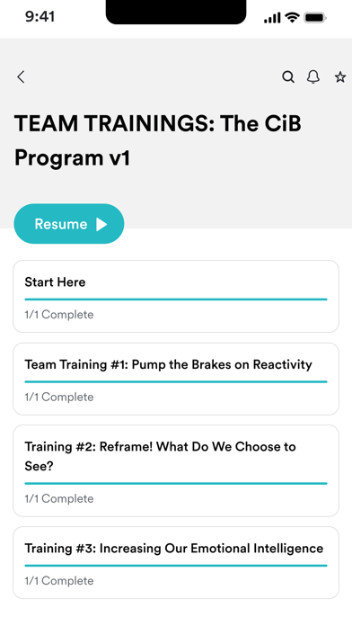CiB Program screenshot 2