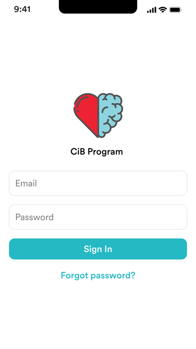 CiB Program screenshot 3