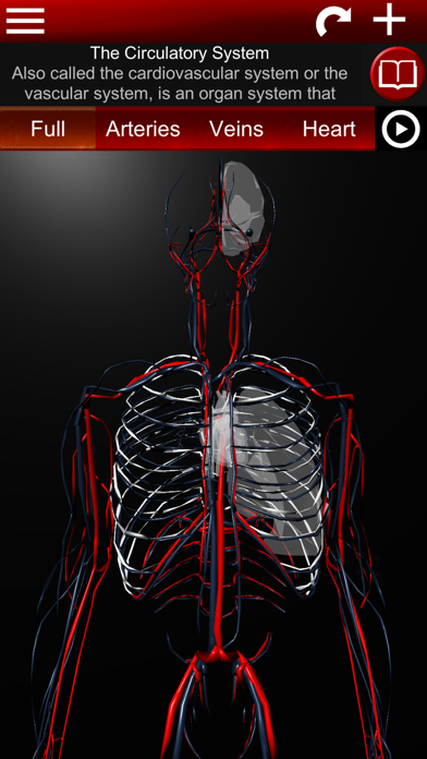 Circulatory System 3D Anatomy screenshot 6