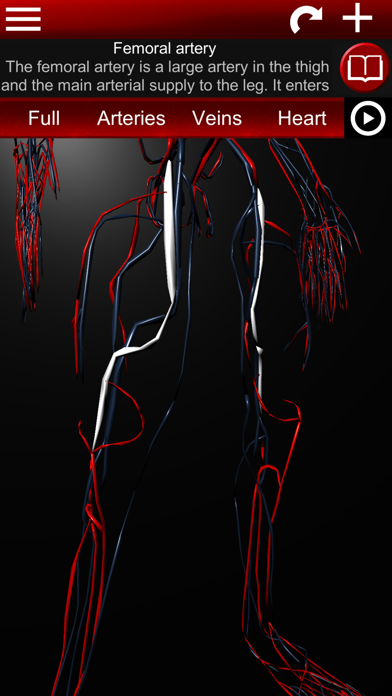 Circulatory System 3D Anatomy screenshot 4