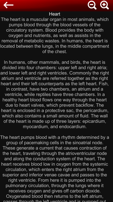 Circulatory System 3D Anatomy screenshot 1