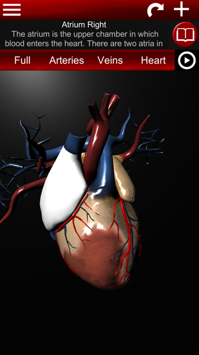 Circulatory System 3D Anatomy screenshot 3