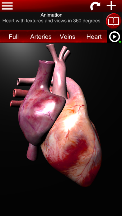 Circulatory System 3D Anatomy screenshot 5