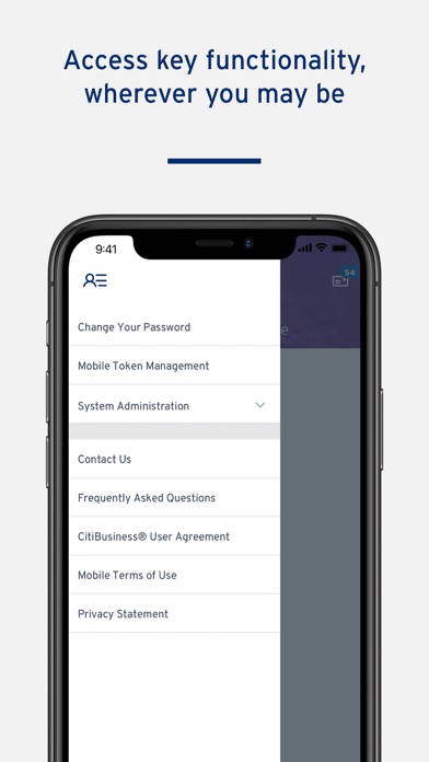 CitiBusiness® Mobile screenshot 1