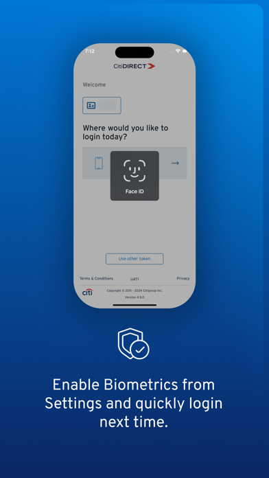 CitiDirect screenshot 1
