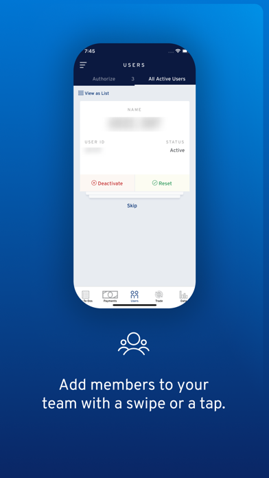 CitiDirect screenshot 2