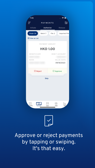 CitiDirect screenshot 3