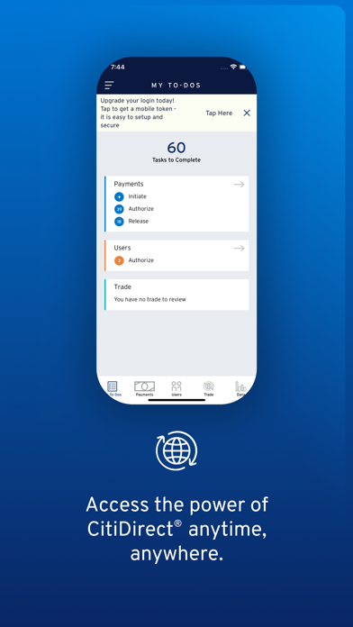 CitiDirect screenshot 4