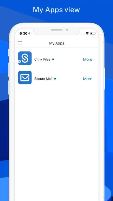 Citrix Secure Hub screenshot 3