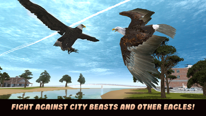 City Eagle Simulator 3D screenshot 2