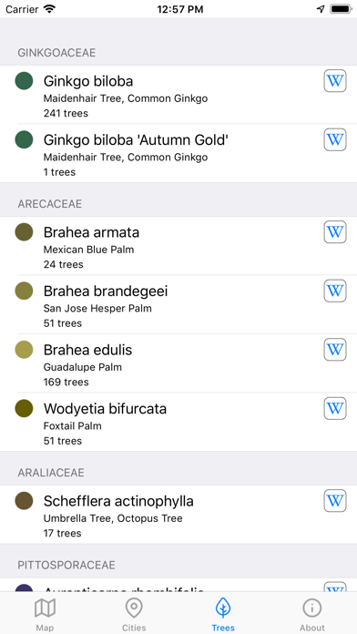 City Trees screenshot 1