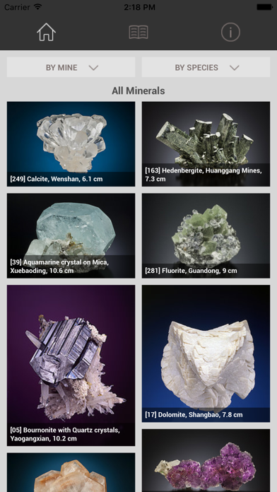 CityU Minerals screenshot 4