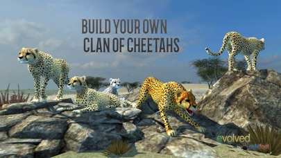 Clan Of Cheetahs screenshot 5