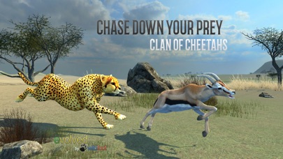 Clan Of Cheetahs screenshot 3