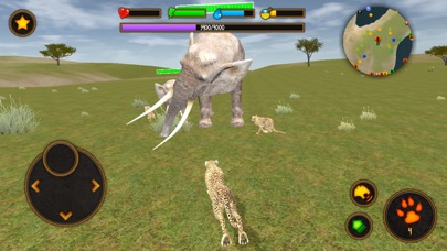 Clan Of Cheetahs screenshot 2