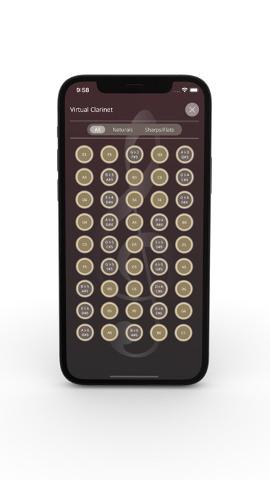 Clarinet Fingering Chart Tool screenshot 2