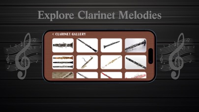 Clarinet Pro - Professional screenshot 2