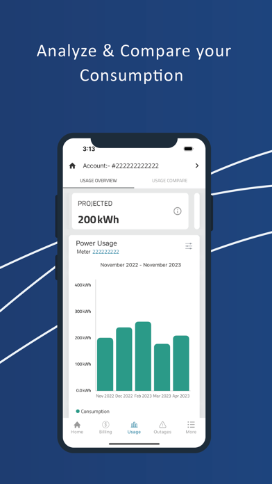 Cleco MyAccount screenshot 3