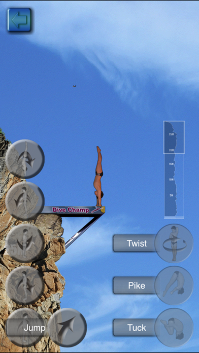 Cliff Diving Champ screenshot 1