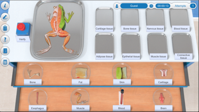 CloudLabs Animal Tissues screenshot 1