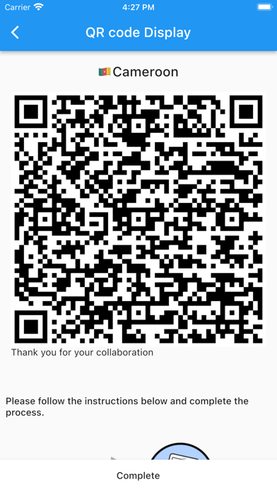 CMR Customs Declaration App. screenshot 1