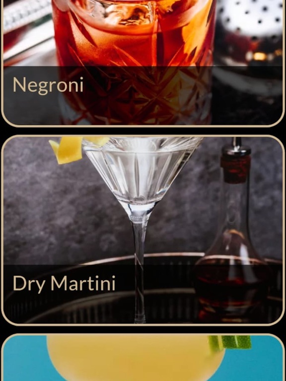 Cocktail Recipes Plus screenshot 4