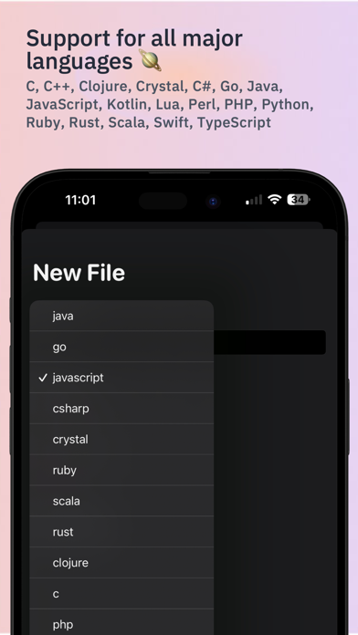 Code - Compile & Run Program screenshot 2