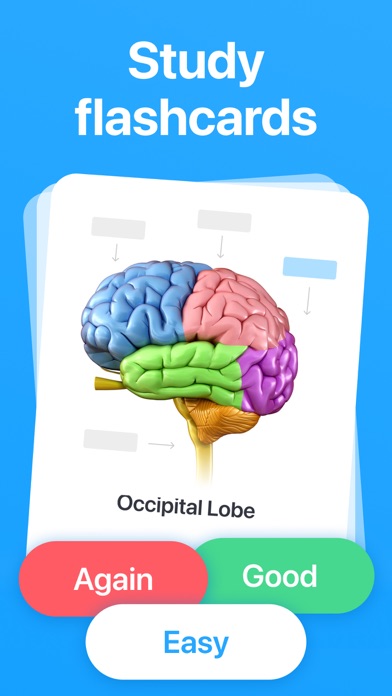 Cogni: Flashcards Learning screenshot 5