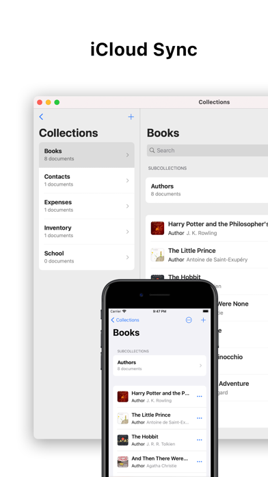 Collections Database screenshot 1