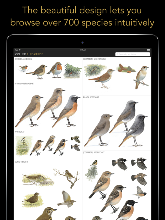 Collins British Bird Guide screenshot 5