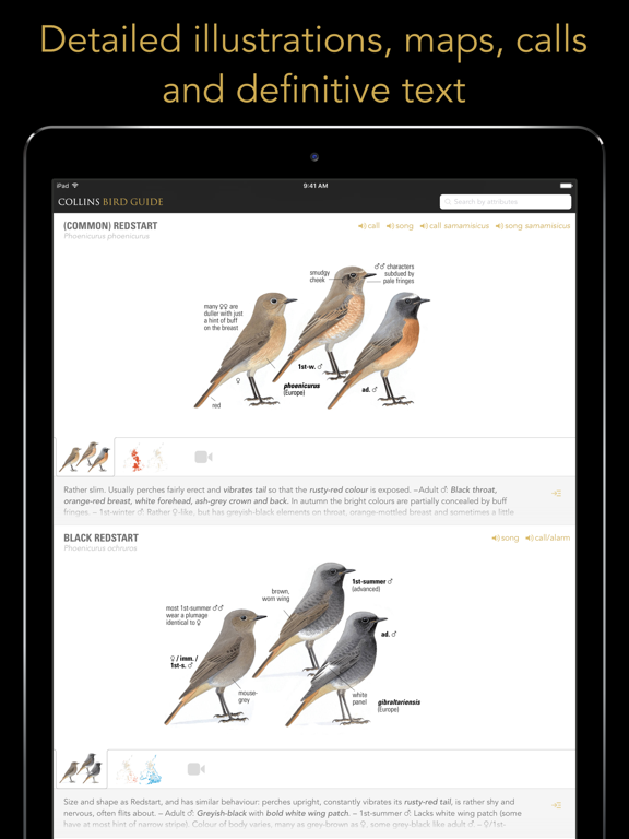 Collins British Bird Guide screenshot 2