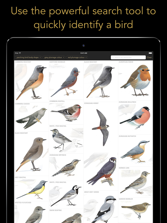 Collins British Bird Guide screenshot 3